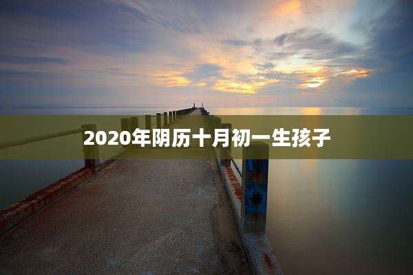 2020年阴历十月初一生孩子
