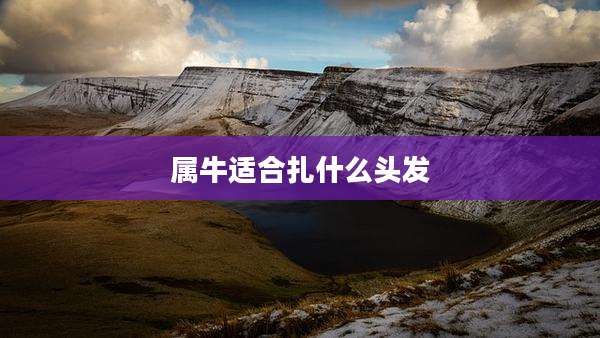 属牛适合扎什么头发