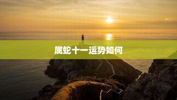属蛇十一运势如何
