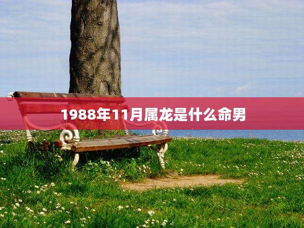 1988年11月属龙是什么命男