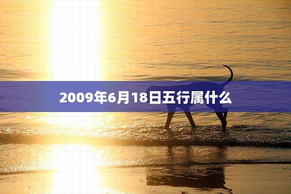 2009年6月18日五行属什么