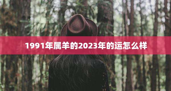 1991年属羊的2023年的运怎么样