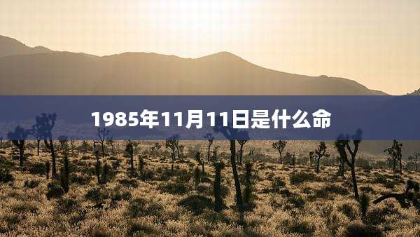 1985年11月11日是什么命