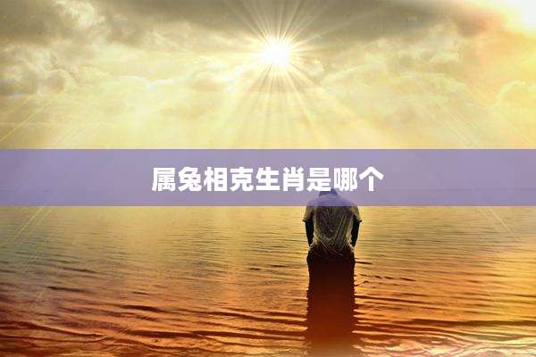 属兔相克生肖是哪个
