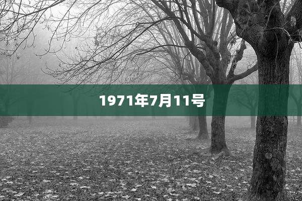 1971年7月11号