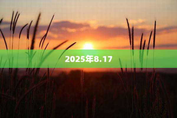 2025年8.17