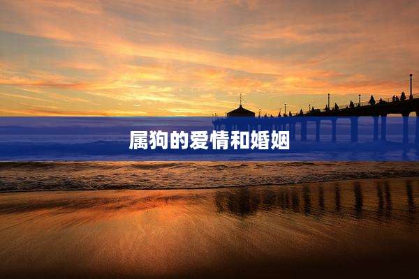 属狗的爱情和婚姻