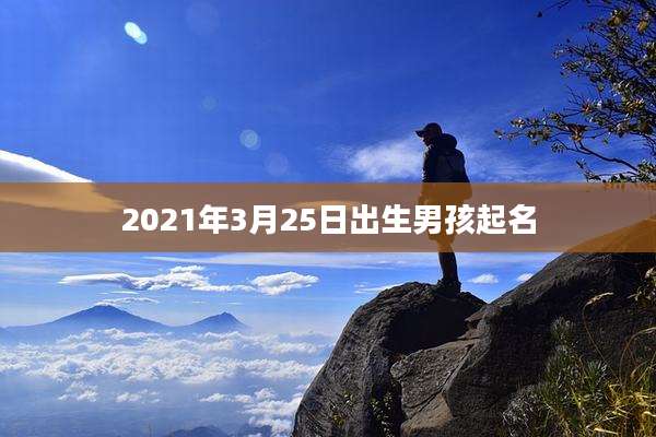 2021年3月25日出生男孩起名