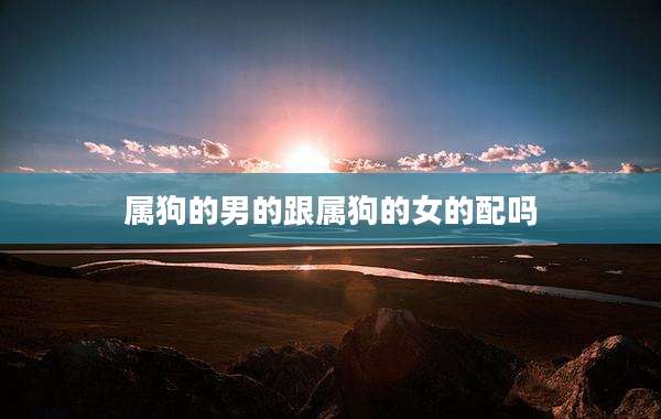 属狗的男的跟属狗的女的配吗