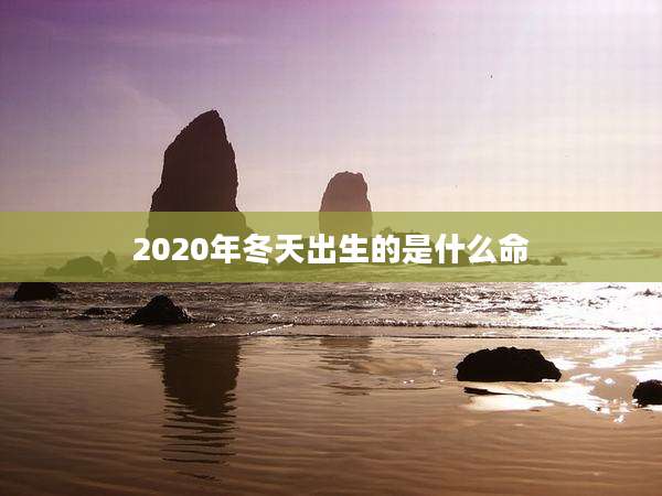 2020年冬天出生的是什么命
