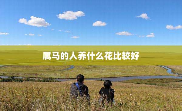 属马的人养什么花比较好