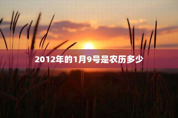 2012年的1月9号是农历多少