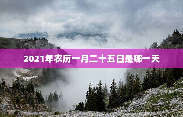 2021年农历一月二十五日是哪一天