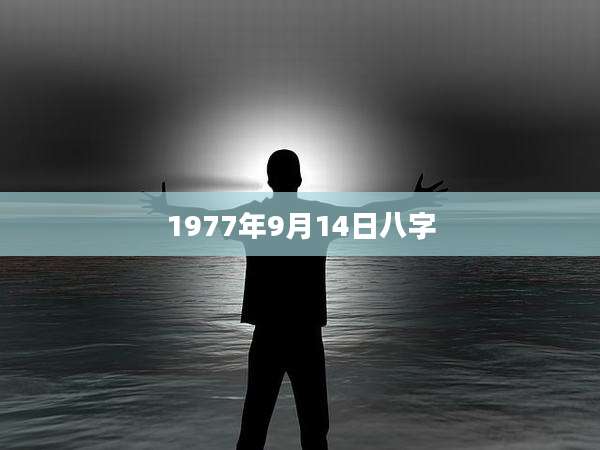 1977年9月14日八字