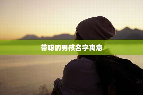 带聪的男孩名字寓意