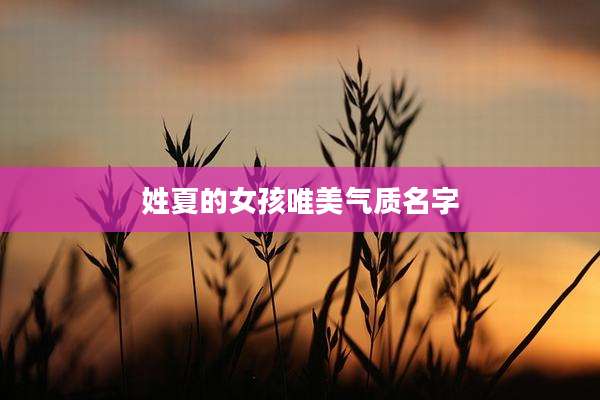 姓夏的女孩唯美气质名字