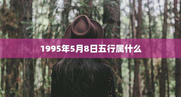1995年5月8日五行属什么