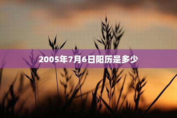 2005年7月6日阳历是多少