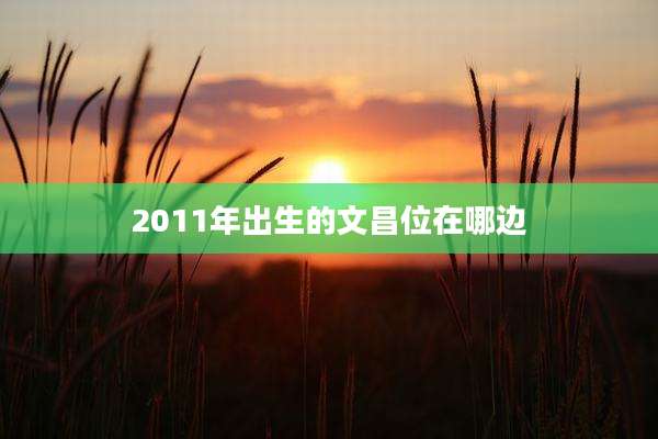 2011年出生的文昌位在哪边