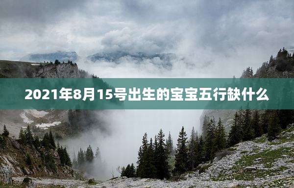 2021年8月15号出生的宝宝五行缺什么