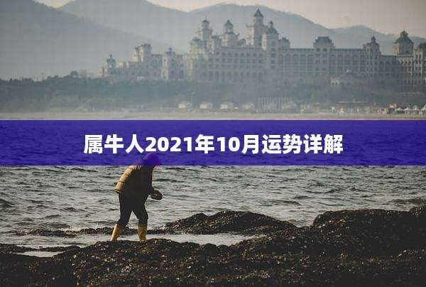 属牛人2021年10月运势详解