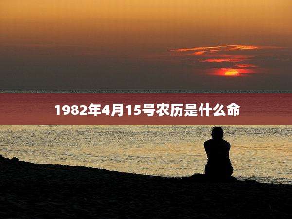 1982年4月15号农历是什么命