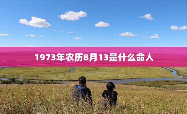 1973年农历8月13是什么命人