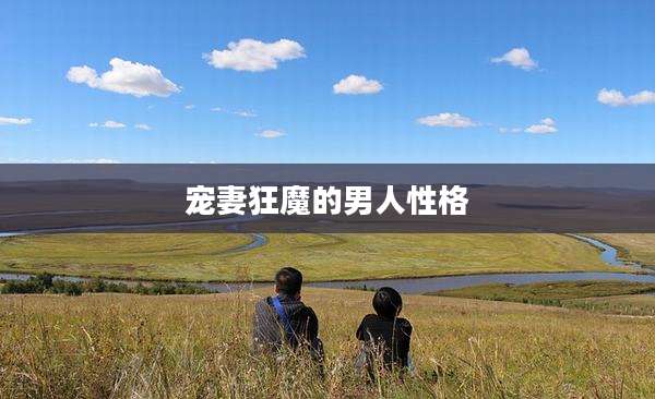 宠妻狂魔的男人性格