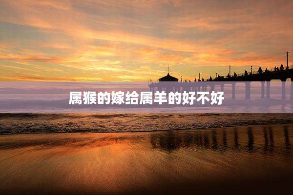 属猴的嫁给属羊的好不好