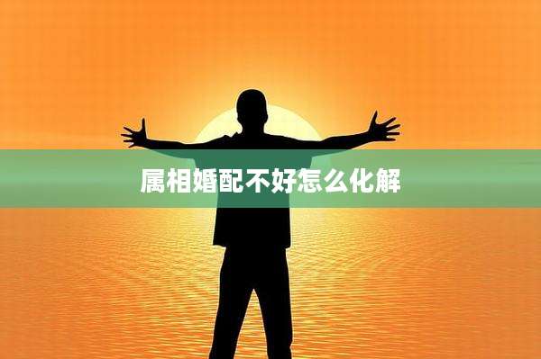 属相婚配不好怎么化解