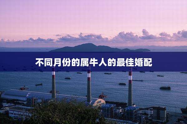 不同月份的属牛人的最佳婚配