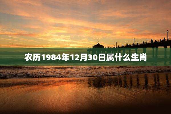农历1984年12月30日属什么生肖