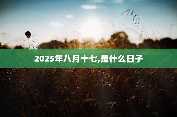 2025年八月十七,是什么日子