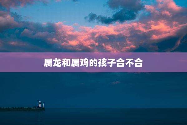 属龙和属鸡的孩子合不合