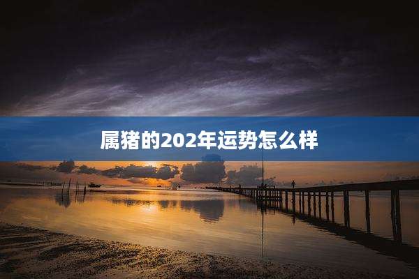 属猪的202年运势怎么样