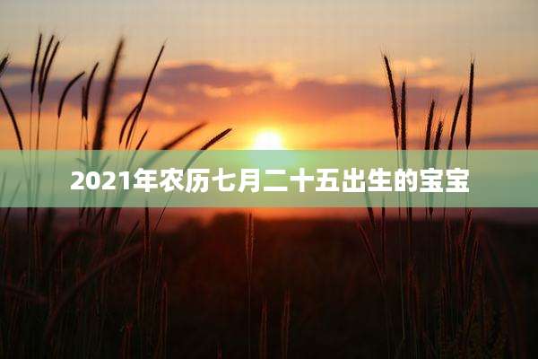 2021年农历七月二十五出生的宝宝