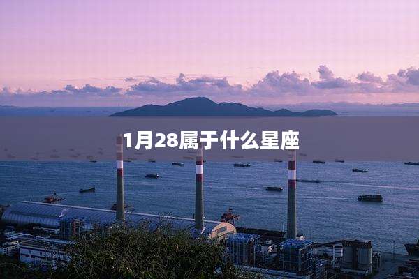 1月28属于什么星座