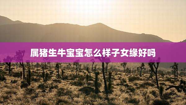 属猪生牛宝宝怎么样子女缘好吗