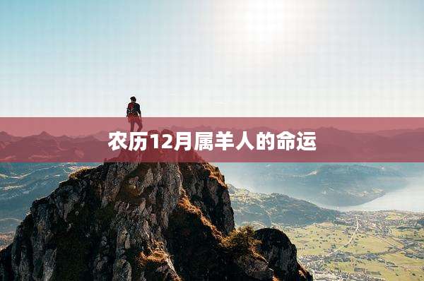 农历12月属羊人的命运
