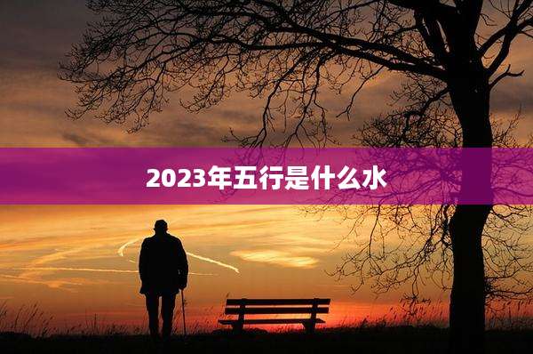 2023年五行是什么水