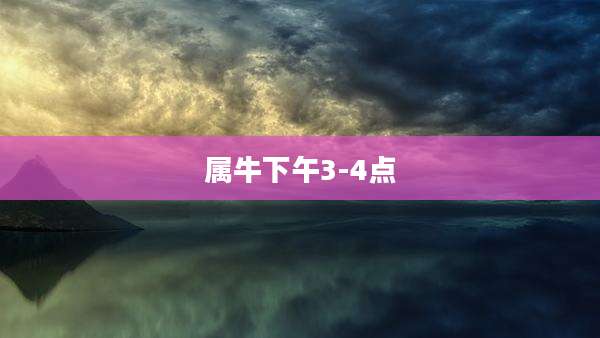 属牛下午3-4点