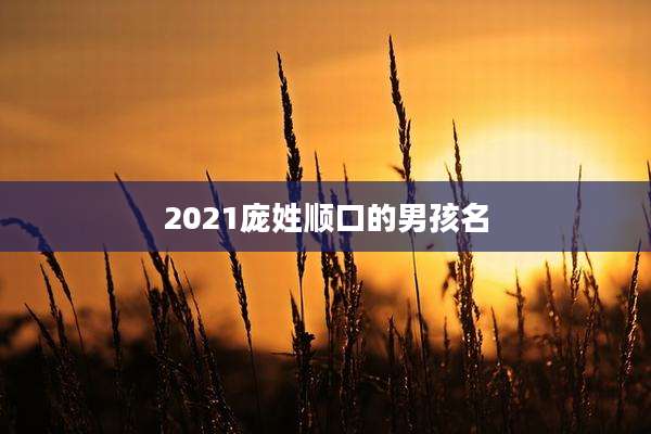 2021庞姓顺口的男孩名