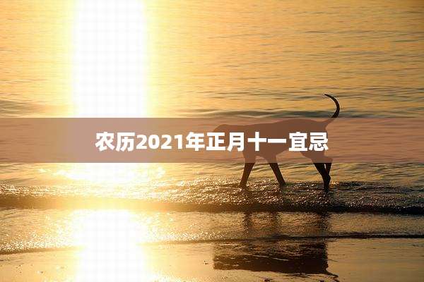 农历2021年正月十一宜忌