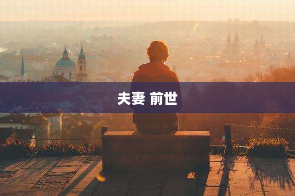 夫妻 前世