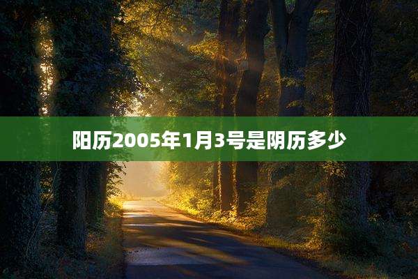 阳历2005年1月3号是阴历多少