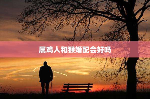 属鸡人和猴婚配会好吗