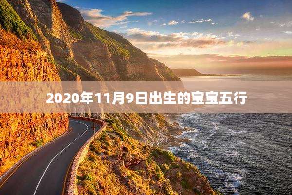 2020年11月9日出生的宝宝五行
