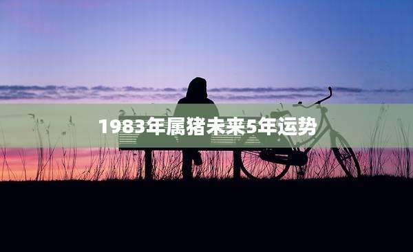 1983年属猪未来5年运势