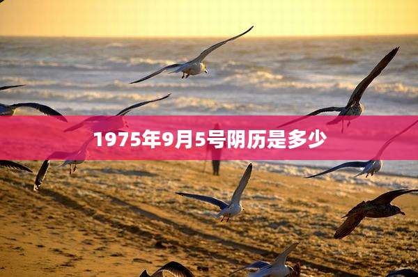 1975年9月5号阴历是多少