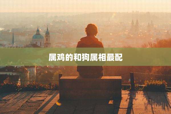 属鸡的和狗属相最配